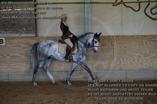 s_K3F03713.JPG